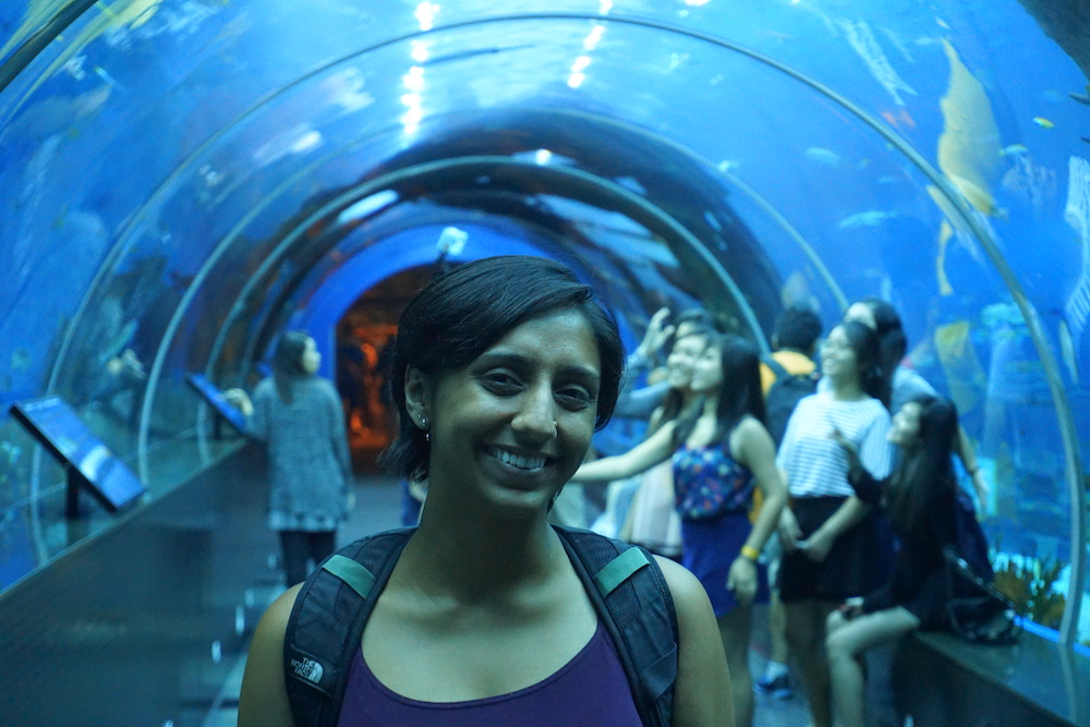 Oct 2015 - Singapore Aquarium.