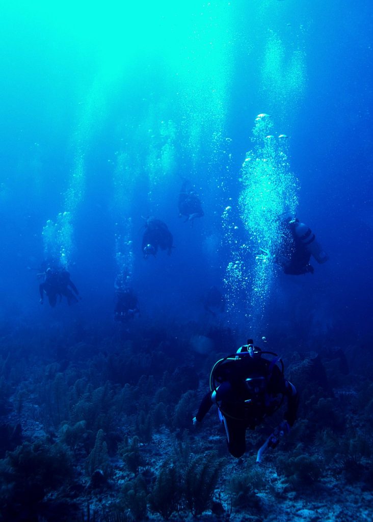 Jan 2016 - Scuba diving in Belize.