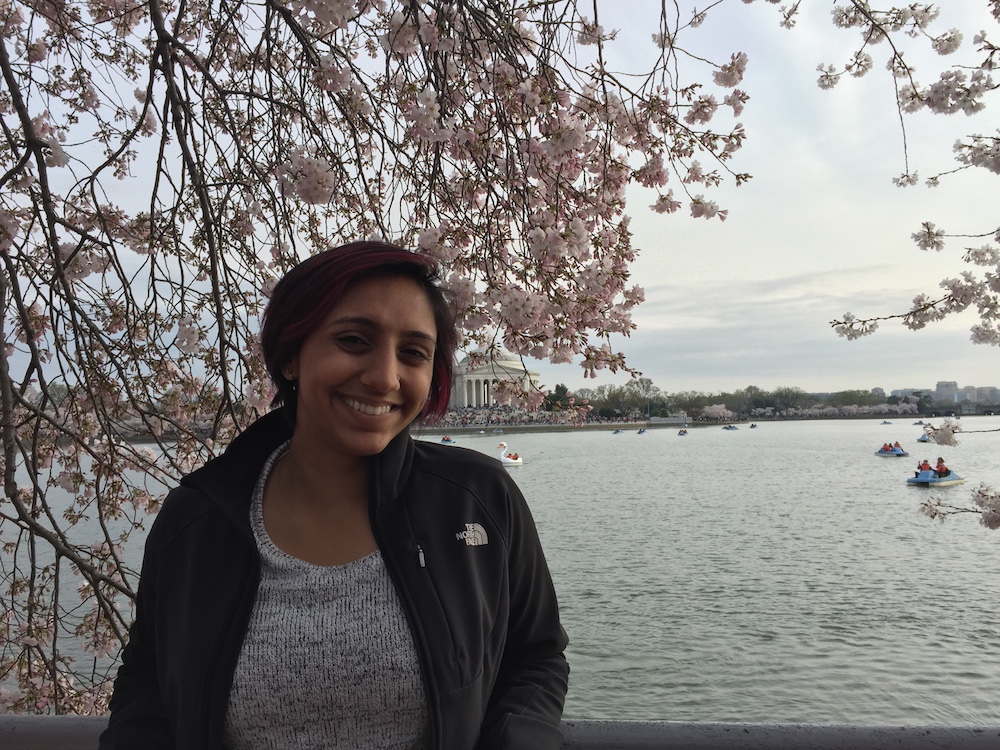 March 2016 - DC Cherry Blossoms.